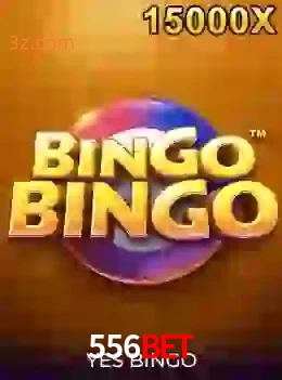 bingobingo