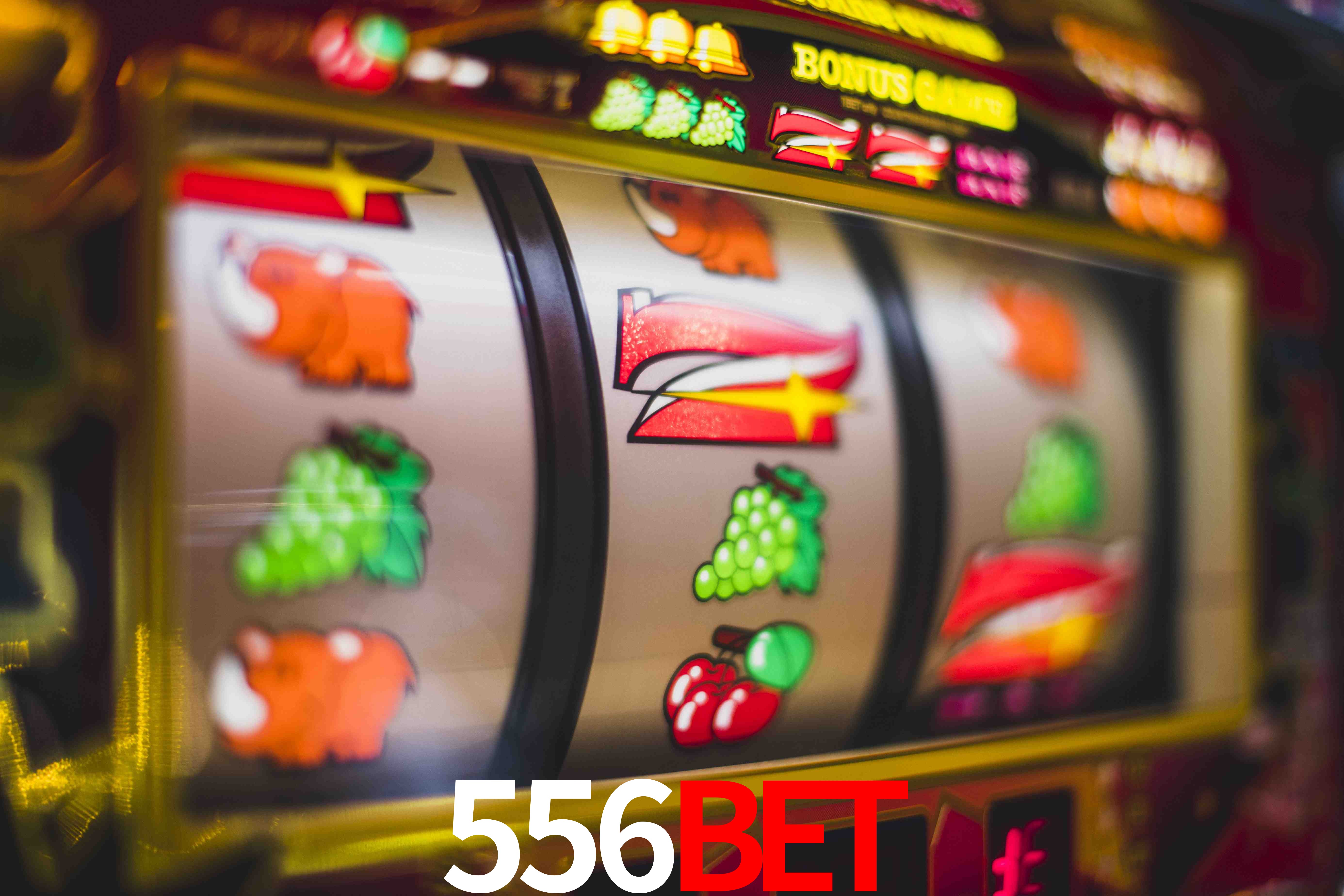 Crash Games Statistics 556bet